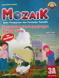 Image of 3a mozaik