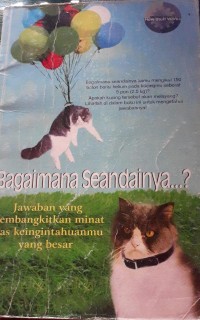 Image of Bagaimana seandainya
